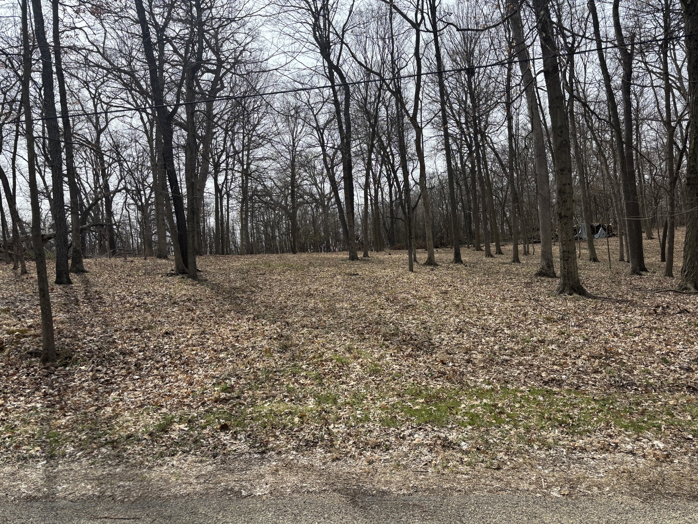 1729/1730/1731 Tanglewood Drive, Varna, IL