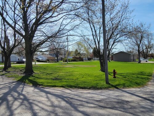 829 Lincoln Street, Minonk, IL