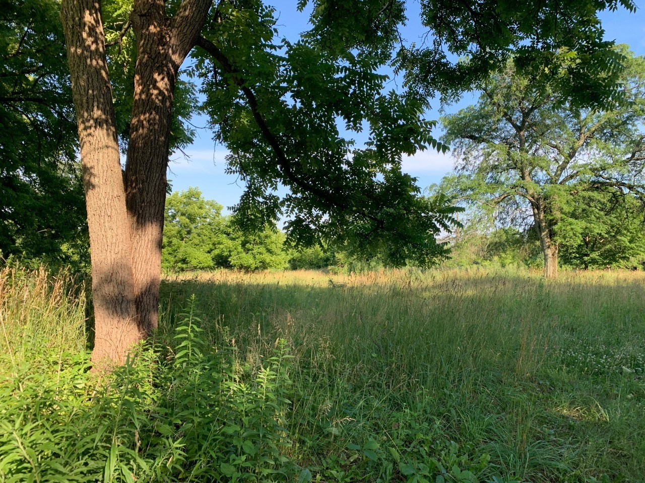 3523 Long Grove Road, Long Grove, IL