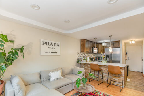 1221 N Dearborn Street #207N, Chicago, IL