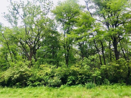 704 Echo (Lot 21) Trail, Marengo, IL