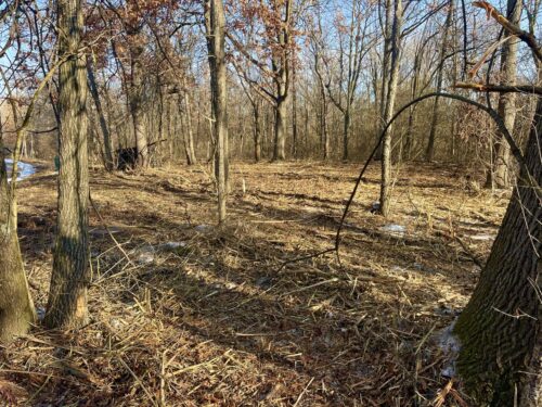 911 Echo (Lot 5) Trail, Marengo, IL