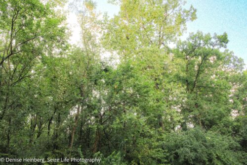 910 Echo (Lot 6) Trail, Marengo, IL