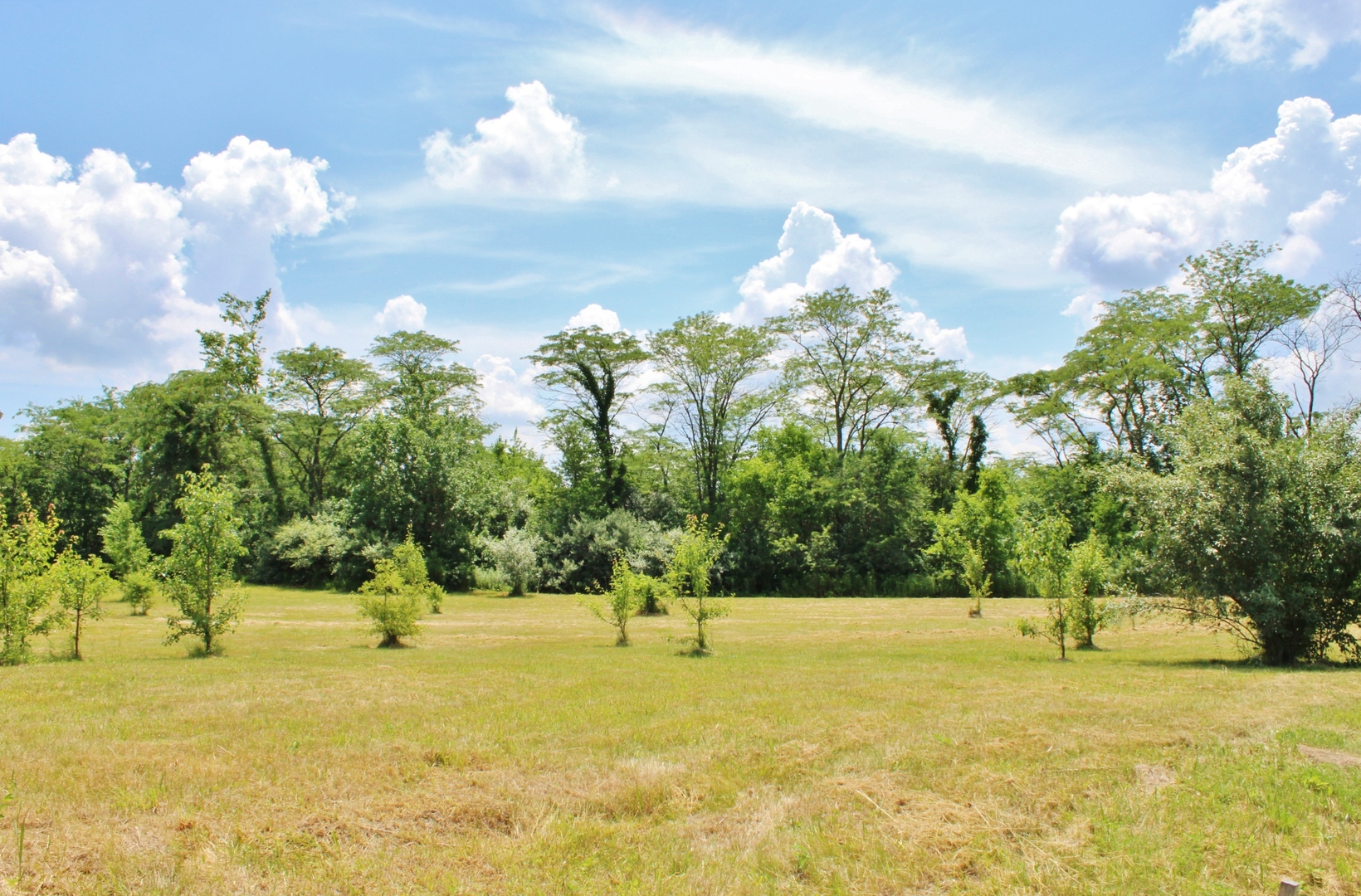 2304 Oakwood Lane, Marseilles, IL