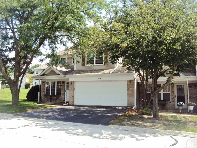 424 Van Gogh Circle, Bolingbrook, IL