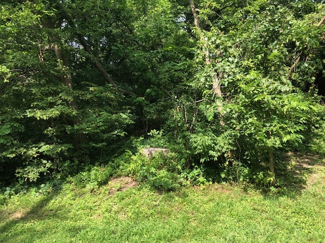 35403 N 2nd Avenue, Ingleside, IL