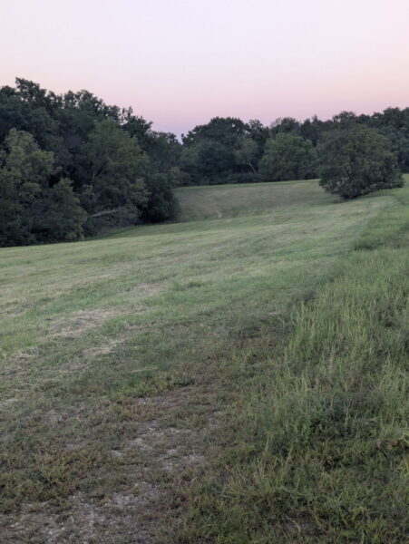 21-54 Old Wharf Road, Lake Carroll, IL