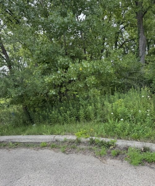 10 Chateau Drive, West Dundee, IL