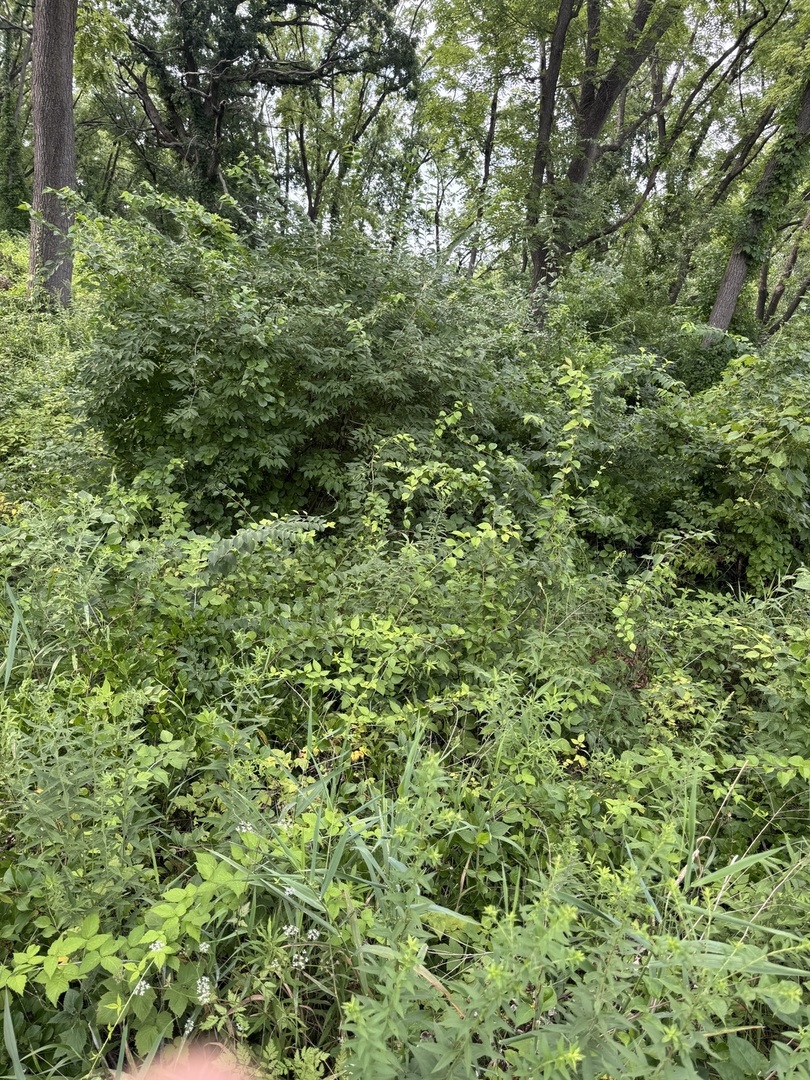 10 Chateau Drive, West Dundee, IL