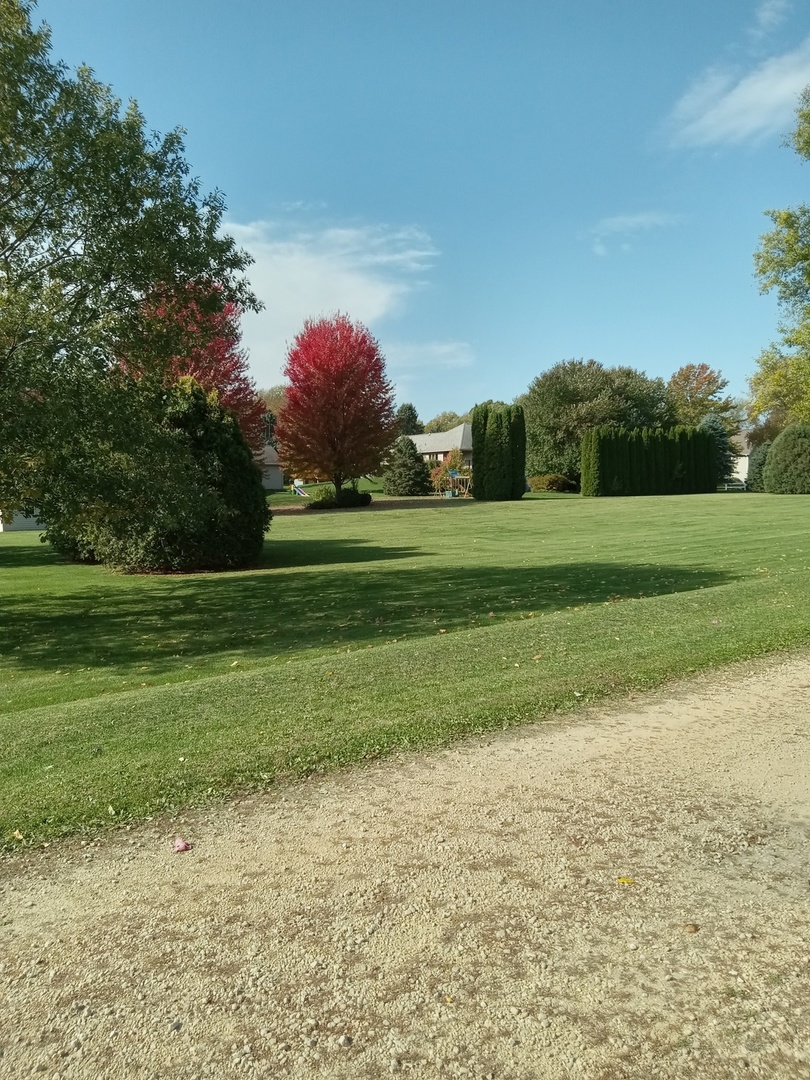 10th Avenue, Albany, IL