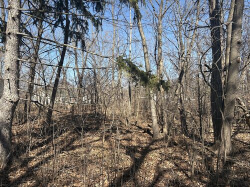 25118 W Catherine Drive, Antioch, IL