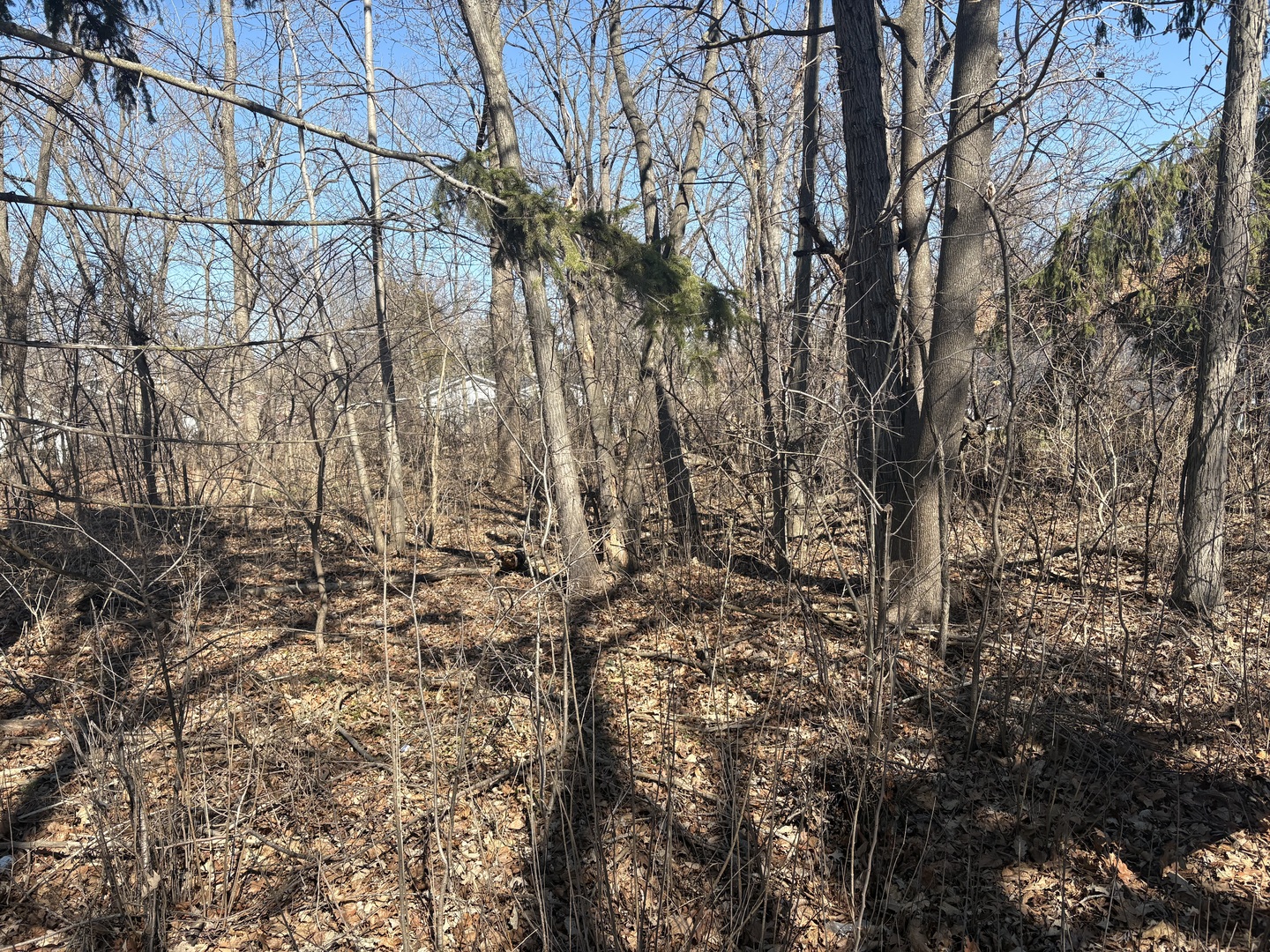 25118 W Catherine Drive, Antioch, IL