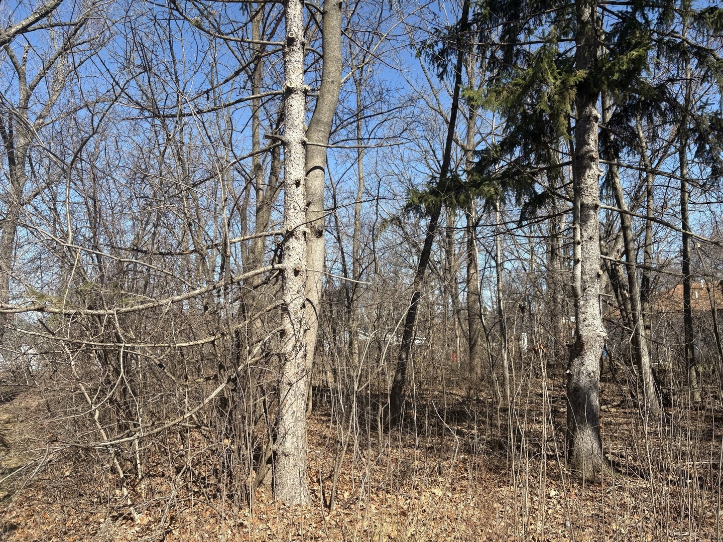 25118 W Catherine Drive, Antioch, IL