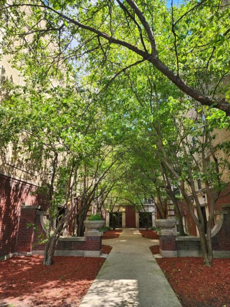 4855 N Harding Avenue #2, Chicago, IL