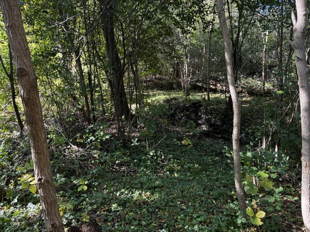 23976 W Beach Grove Road, Antioch, IL