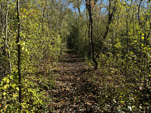 23976 W Beach Grove Road, Antioch, IL