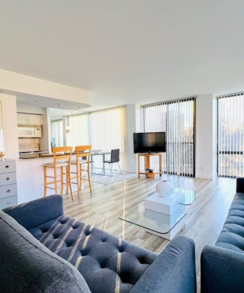 345 W Fullerton Parkway #501, Chicago, IL