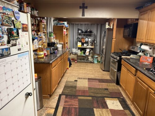 1750 RICHTON Road, Steger, IL