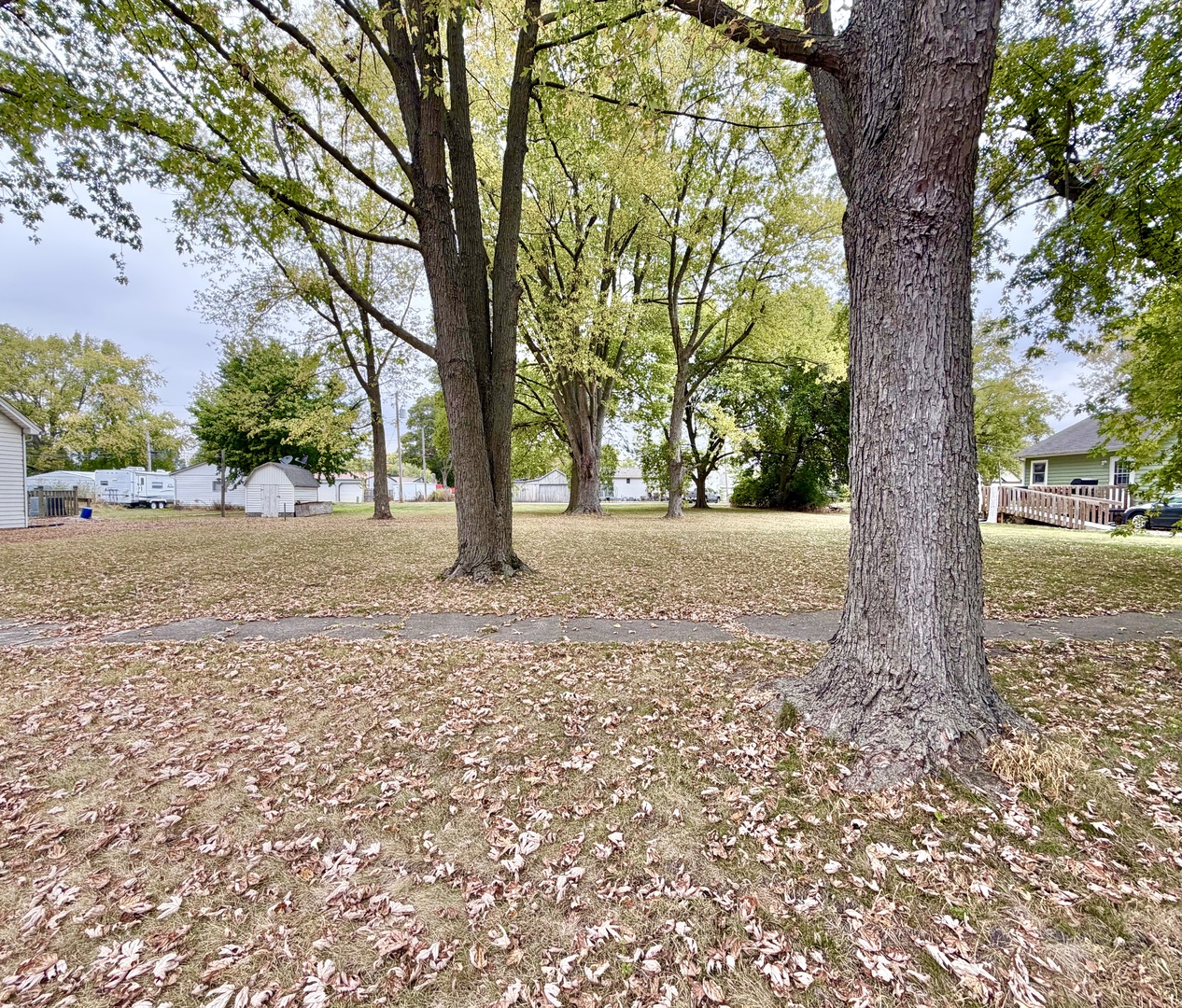 313 E Orchard Street, Forrest, IL