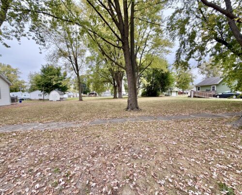 313 E Orchard Street, Forrest, IL