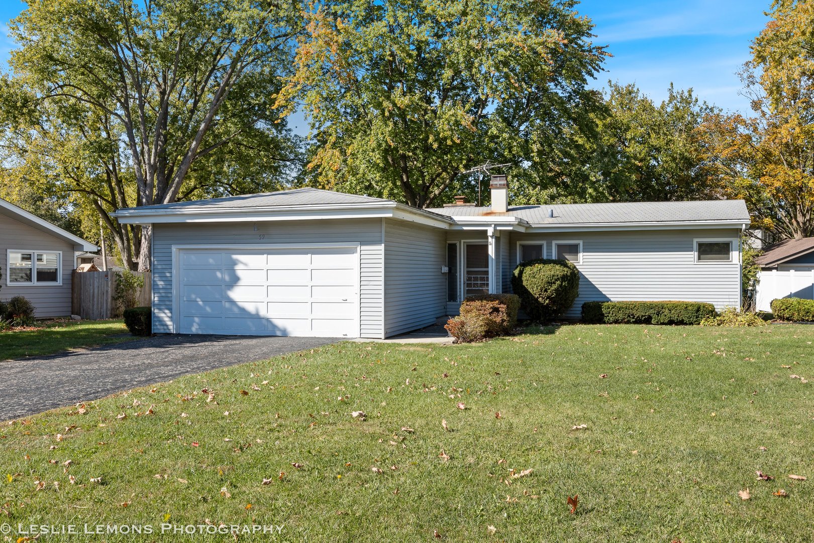 59 Elmwood Drive, Naperville, IL