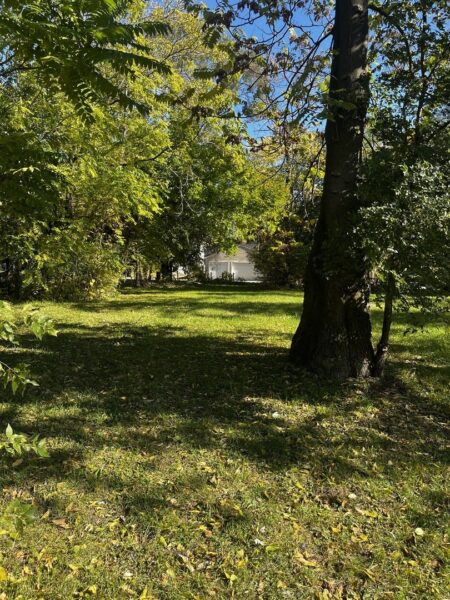 7455 S Parnell Avenue, Chicago, IL