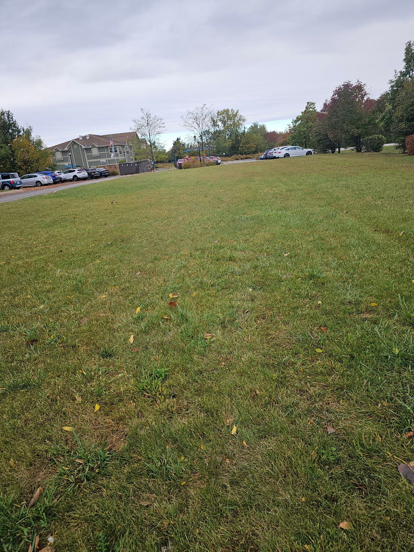 3981 Old Mchenry Road, Long Grove, IL