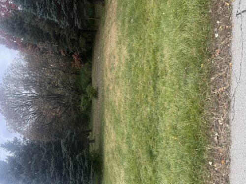 160 Columbia Street, Poplar Grove, IL