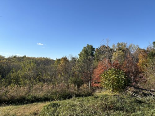2110 60th Street, Monmouth, IL