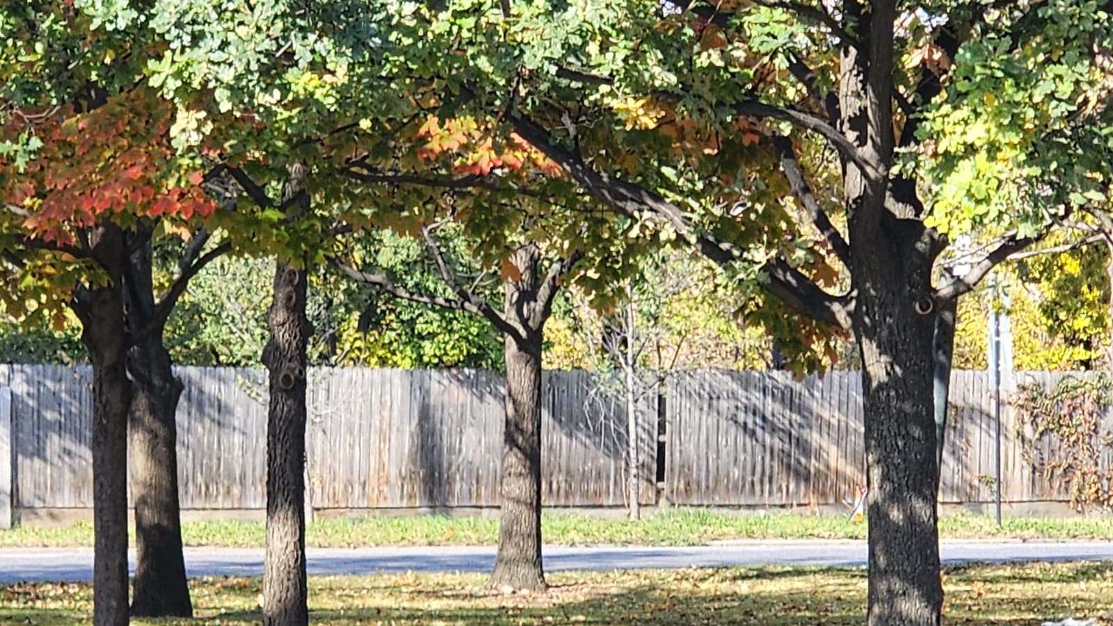 4926 S Western Avenue, Chicago, IL