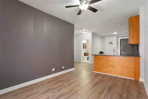 1702 W Juneway Terrace #2C, Chicago, IL