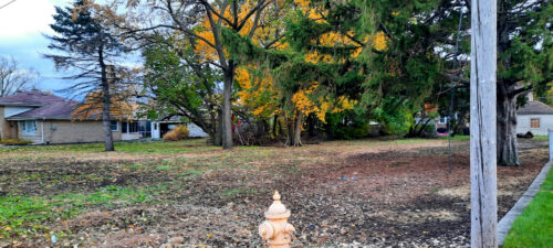 10115 Belden Avenue, Melrose Park, IL