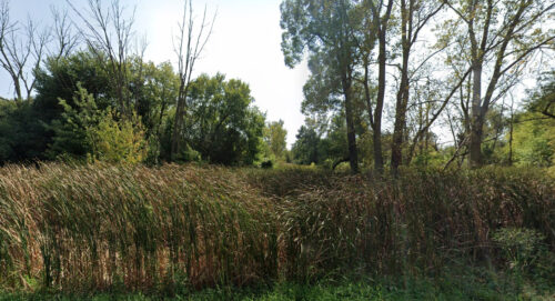 12787 W Grove Avenue, Waukegan, IL