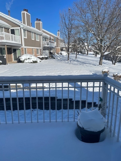 624 Berkley Court #V2, Schaumburg, IL