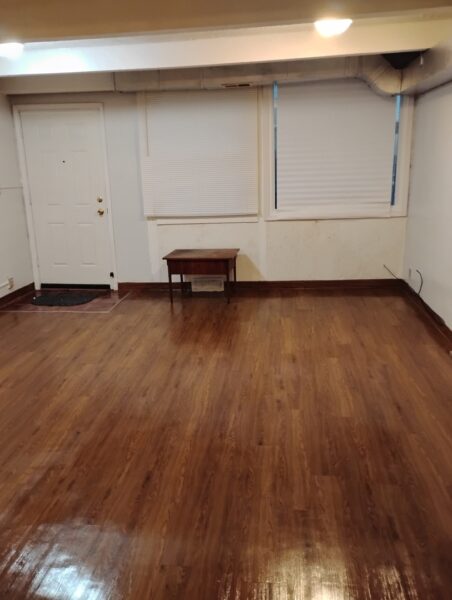 827 E 48th Street #C, Chicago, IL