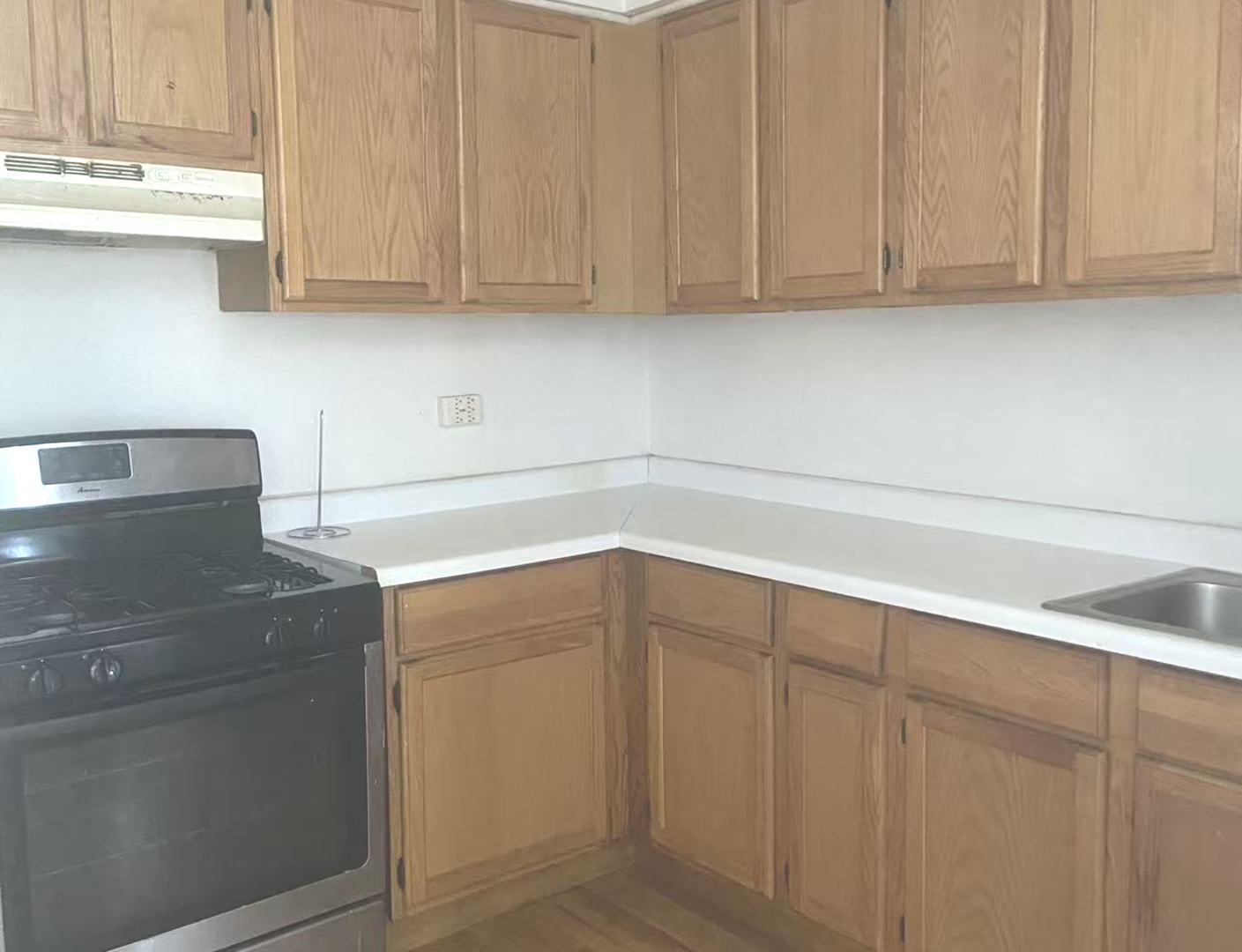 238 W 31ST Street #2E, Chicago, IL