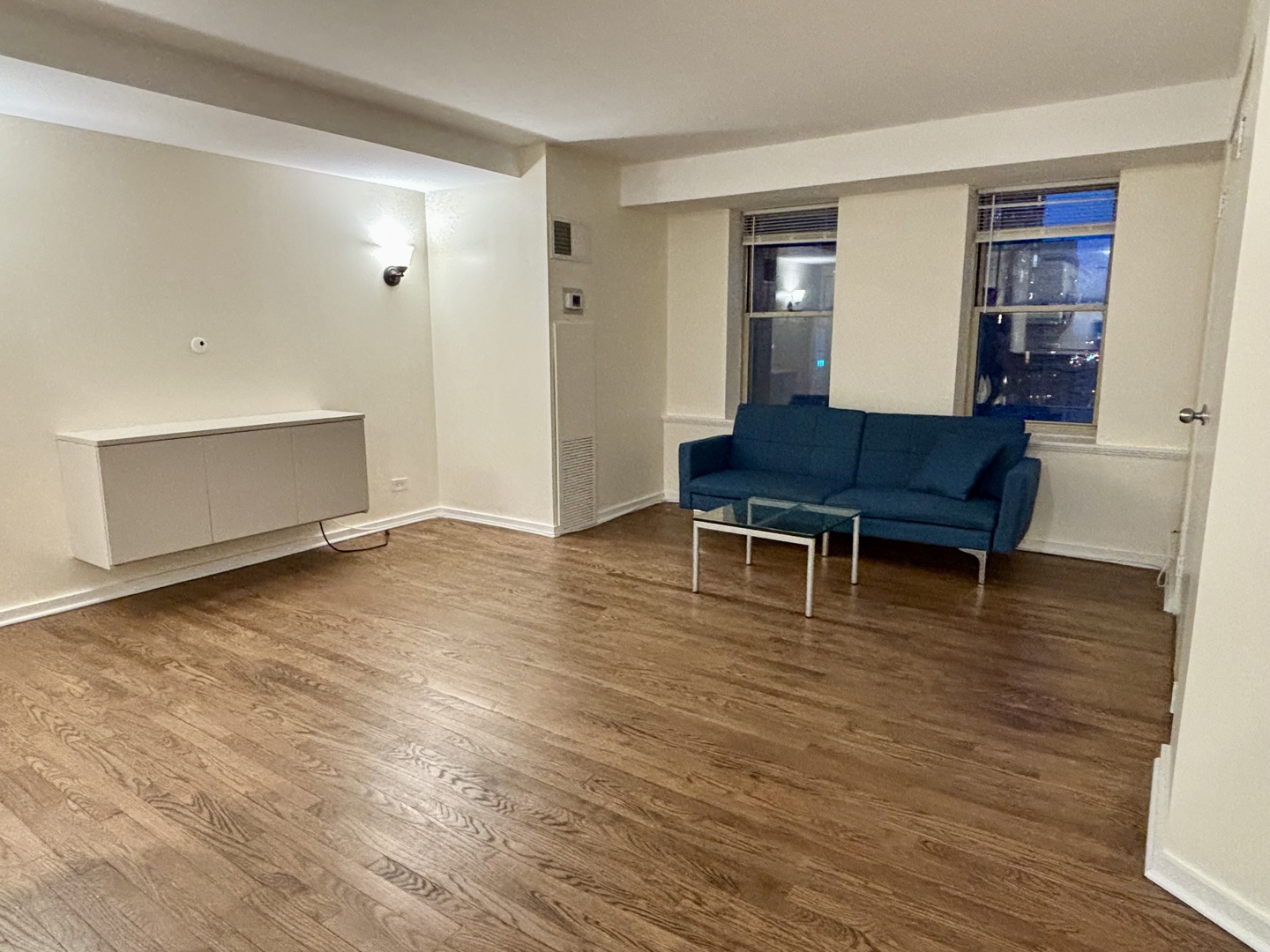 40 E 9TH Street #1313, Chicago, IL