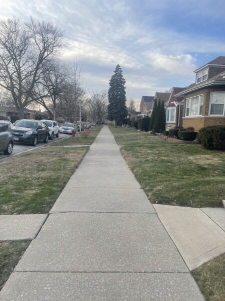 1534 E 86th Place, Chicago, IL