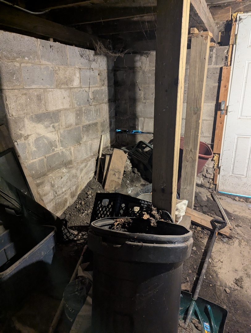 2935 W Wilcox Street, Chicago, IL