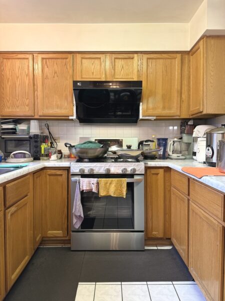 880 W 27TH Street #B, Chicago, IL