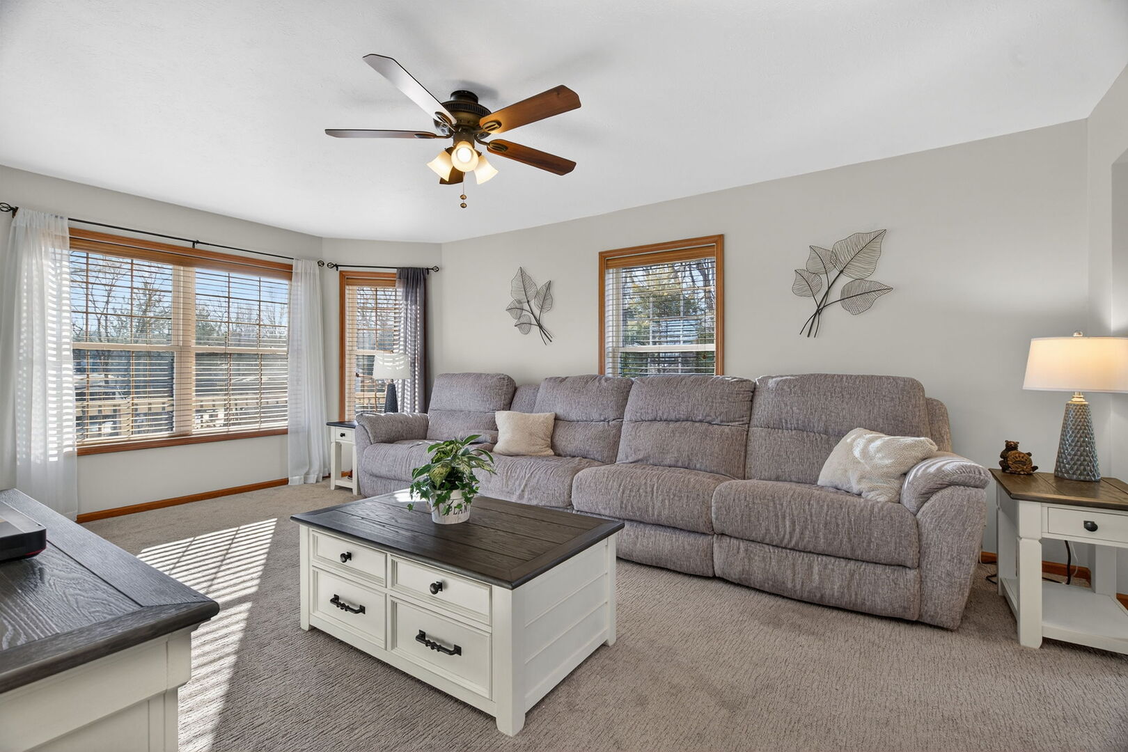 43 Hole In The Wall Court, Wilmington, IL