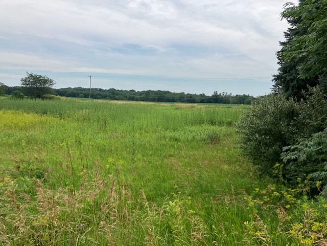 Lot 2 Timberline Drive, Granville, IL