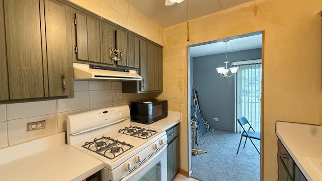 4420 W 111th Street #104, Oak Lawn, IL