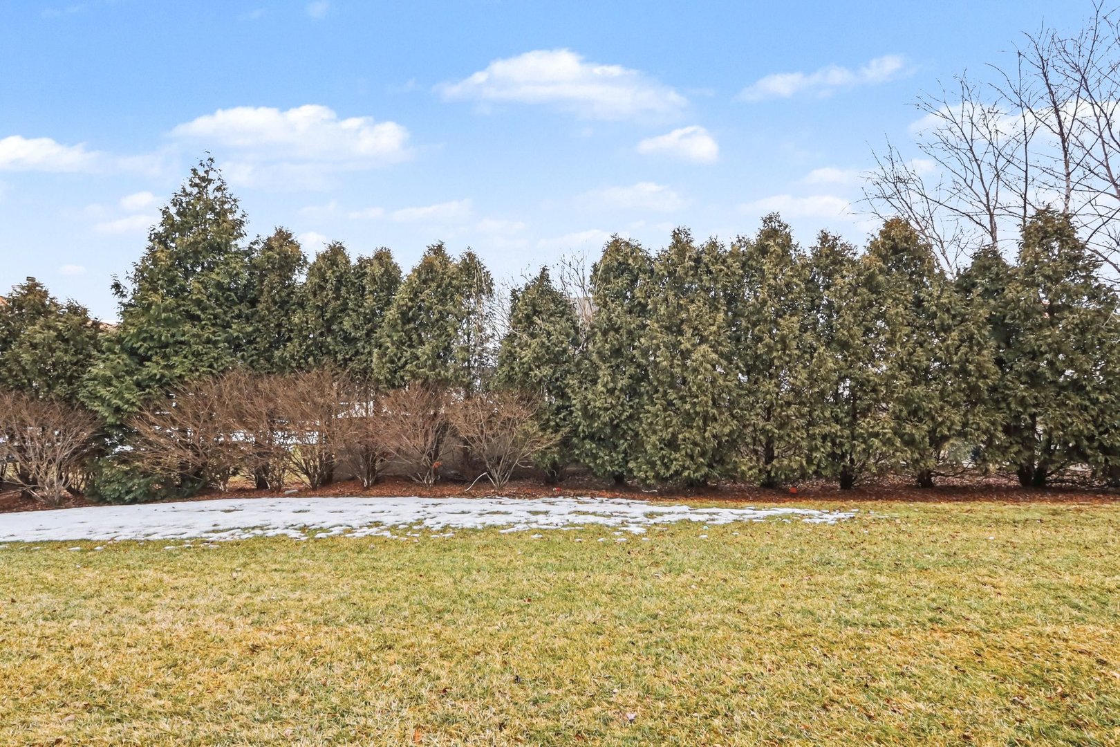 6503 Blue Sky Lane, Matteson, IL