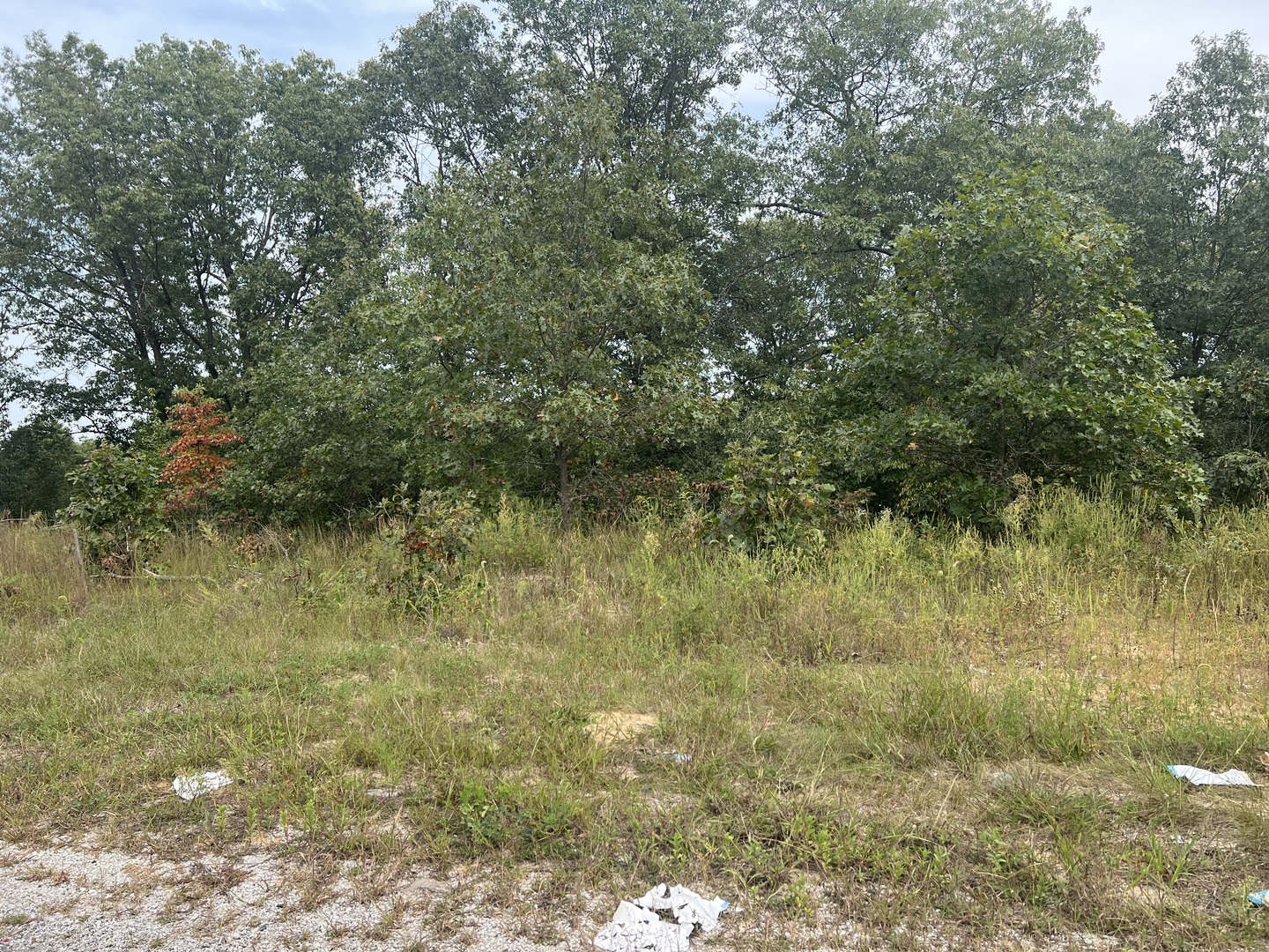 0001 Green Acres Street, Pembroke Twp, IL