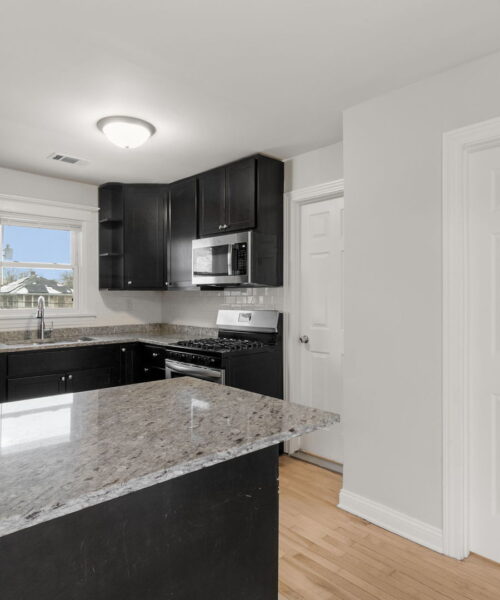 1144 N Austin Boulevard #2, Oak Park, IL