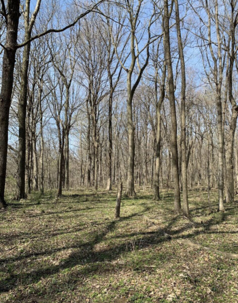 Winterbottom Road, Morris, IL