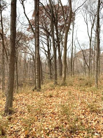 Winterbottom Road, Morris, IL