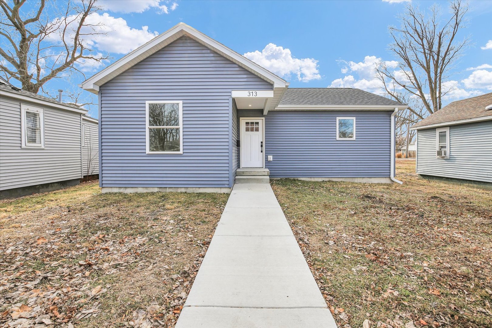 313 E Overton Street, Tuscola, IL