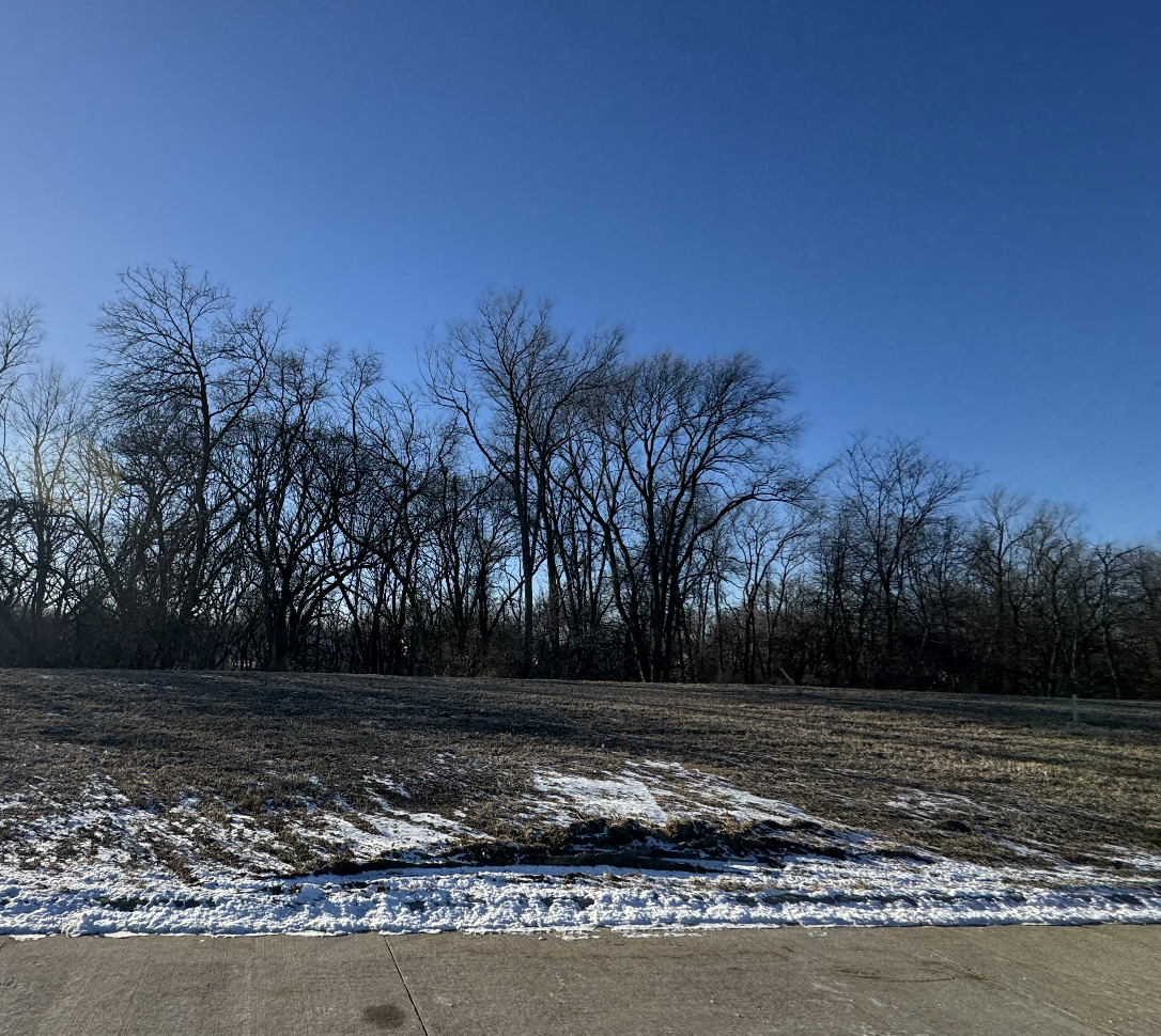 318 Mason Drive, Riverdale, IA